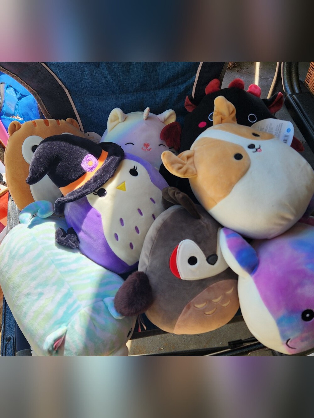 Squishmallow Lot Of 14